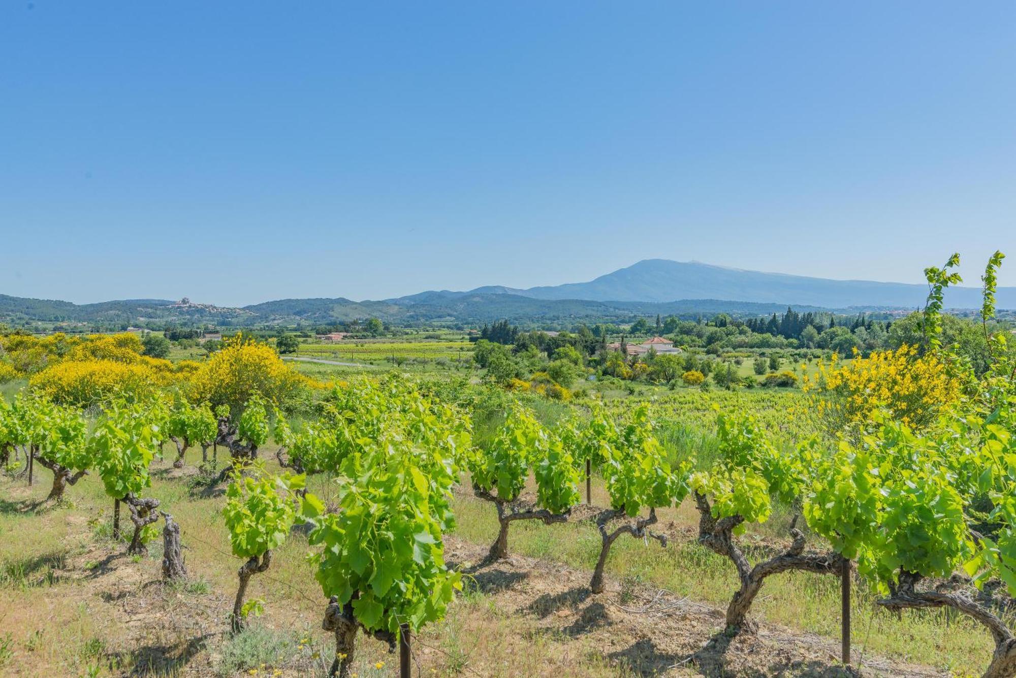 Domaine Purviti Villa Бом-дьо-Вениз Екстериор снимка